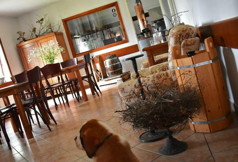 Pensjonat Palírna Bludov