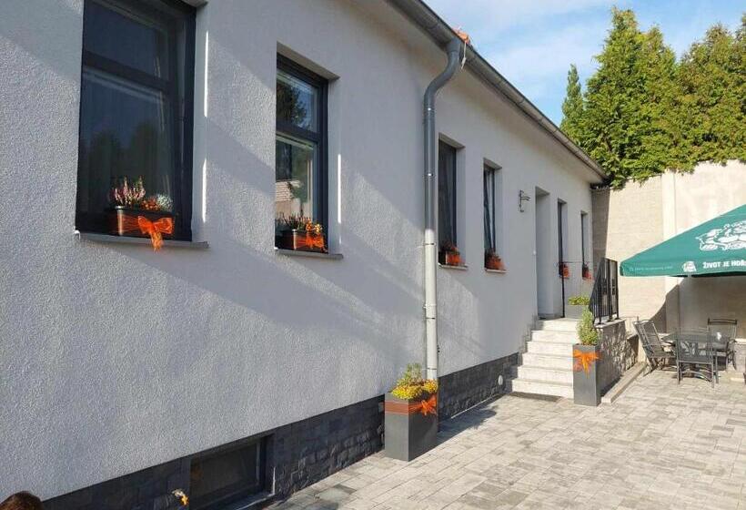 פנסיון Penzion Vila Winter