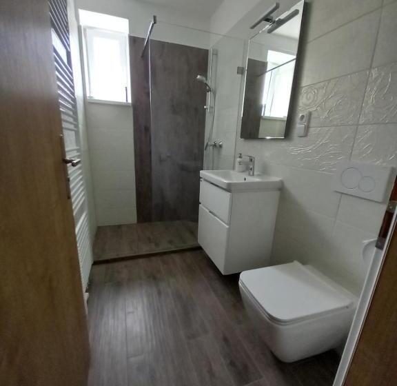 פנסיון Penzion Vila Winter