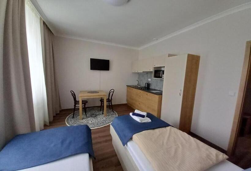 פנסיון Penzion Vila Winter