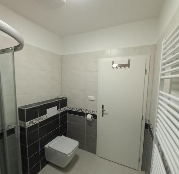 פנסיון Penzion Vila Winter