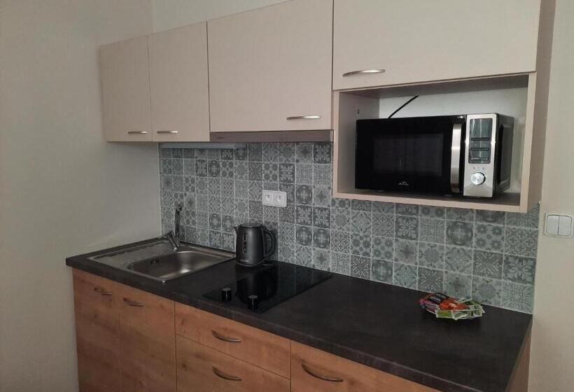 פנסיון Penzion Vila Winter