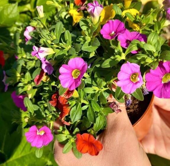 ペンション Sweet Home