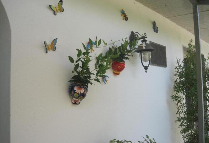 بنسيون Tenuta Innocenzi