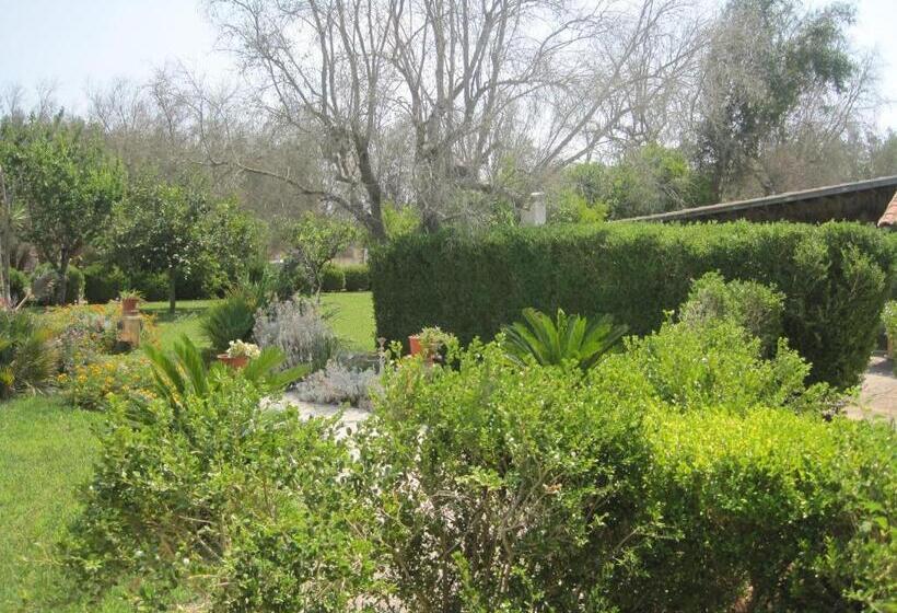 بنسيون Tenuta Innocenzi