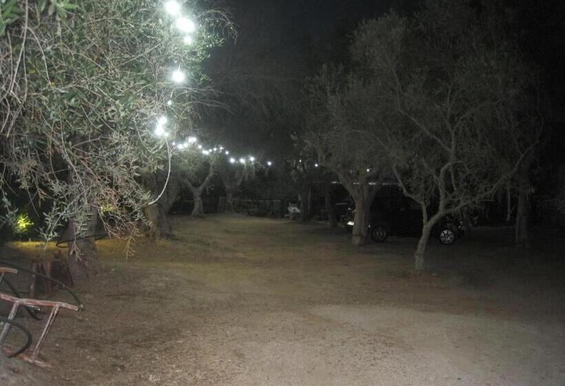 بنسيون Tenuta Innocenzi