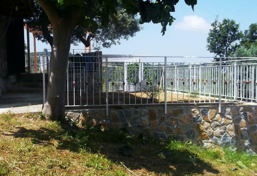 ペンション Villa De Felice