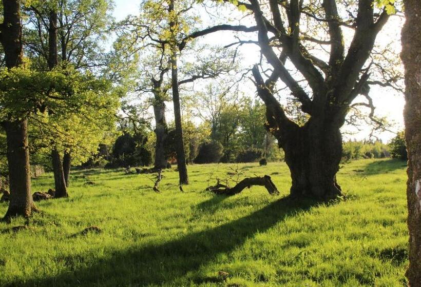 Yxkullsund Säteri B&b   Manor & Estate Since 1662