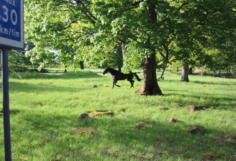 Yxkullsund Säteri B&b   Manor & Estate Since 1662