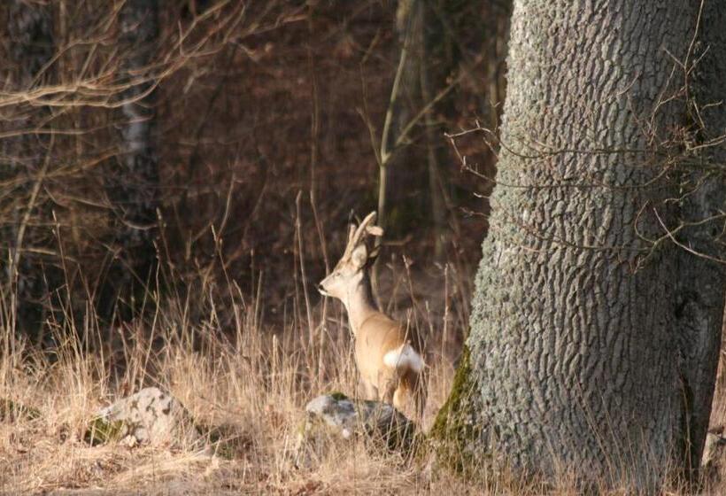 Yxkullsund Säteri B&b   Manor & Estate Since 1662