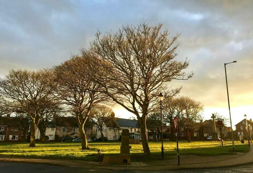 Albion Boutique Guest House