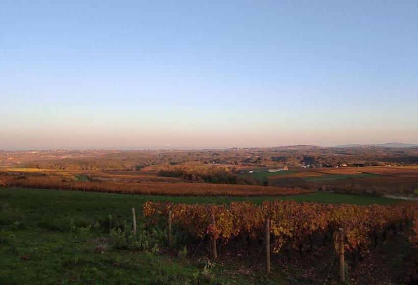 住宿加早餐  Appartement Bagnols   Les Meublés Des Pierres Dorées