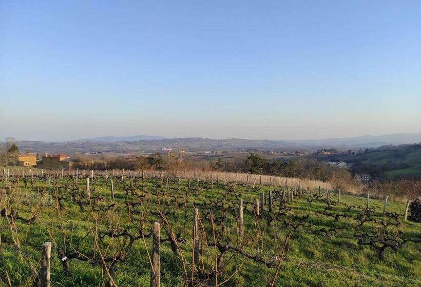 住宿加早餐  Appartement Bagnols   Les Meublés Des Pierres Dorées