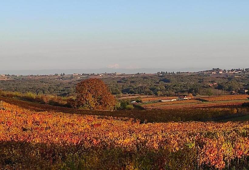 住宿加早餐  Appartement Bagnols   Les Meublés Des Pierres Dorées