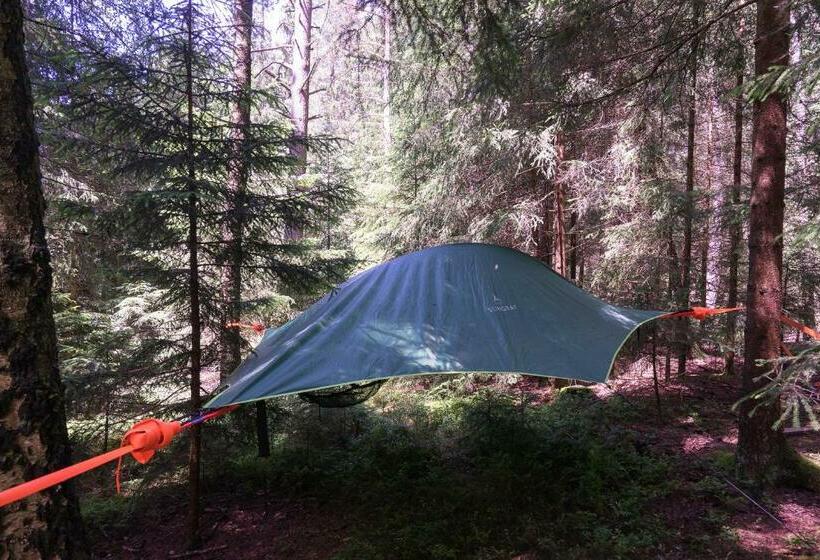 민박 Baumzelt Im Wald