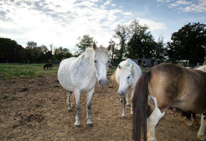 Bed and Breakfast Chambre D Hôtes
