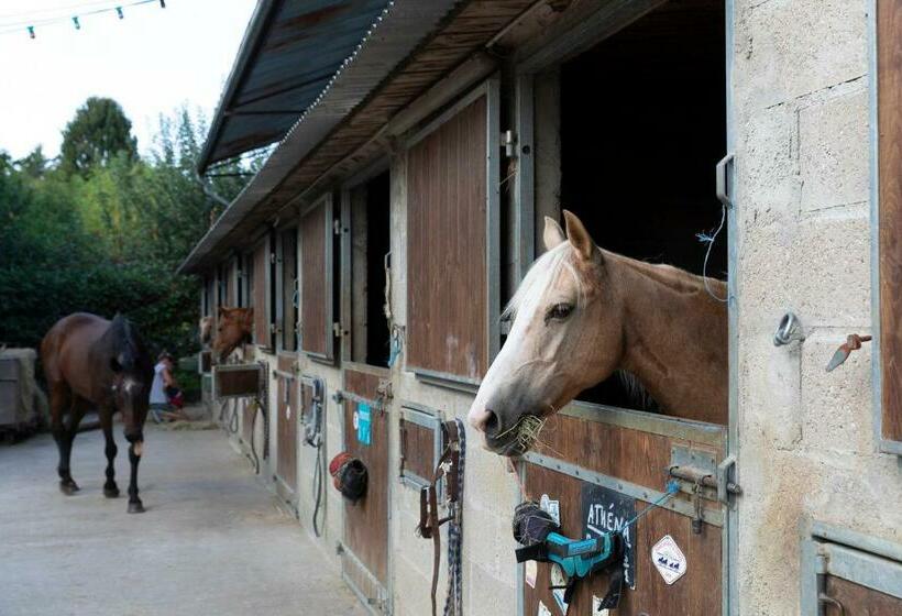 Bed and Breakfast Chambre D Hôtes