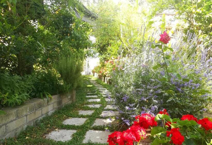 住宿加早餐 Il Vialetto Dei Limoni