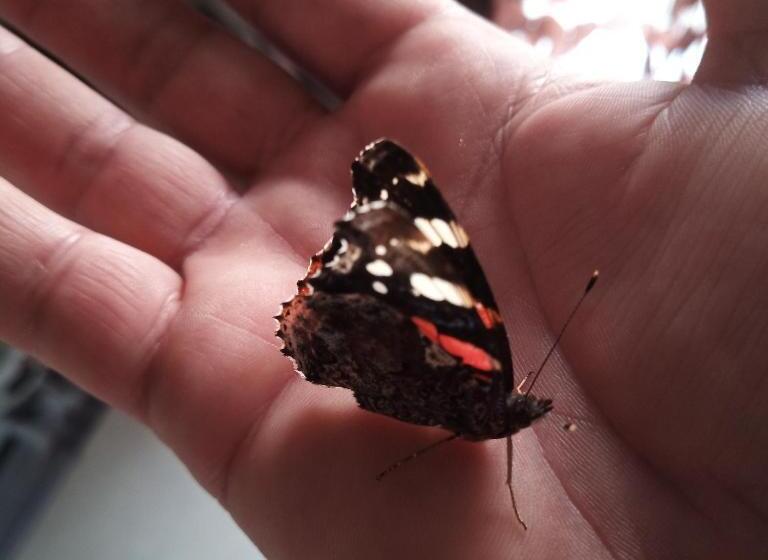 مبيت وإفطار Le Piante Di Casa Samar