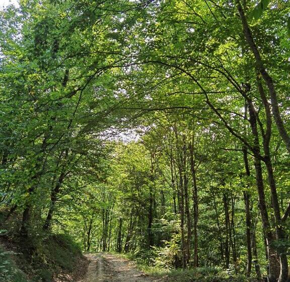 مبيت وإفطار Les Hauts De Grazac, Chambres Et Tables D Hôtes