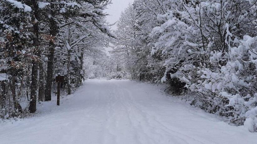 مبيت وإفطار Les Vagabonds Du Mont