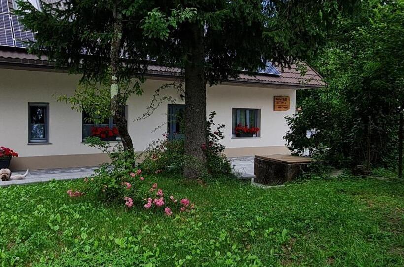 تختخواب و صبحانه Nona Bb