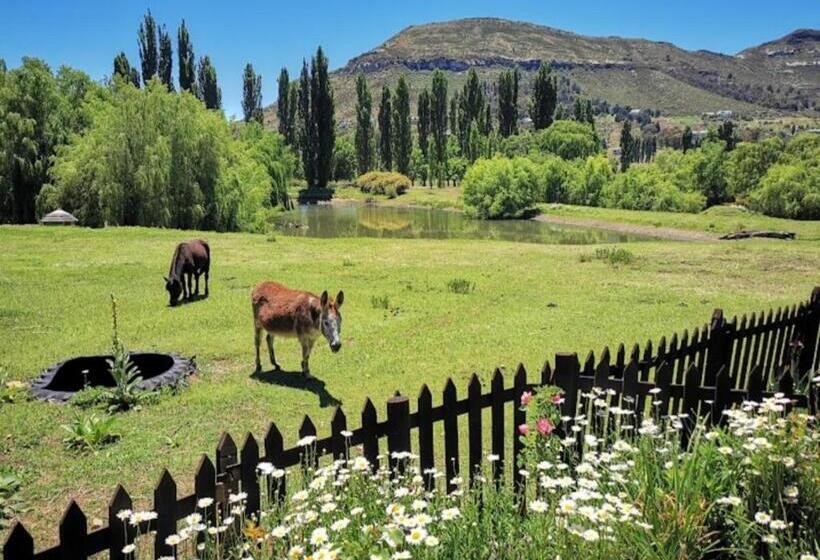 مبيت وإفطار The Viewing Deck Accommodation