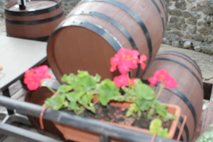 호텔 Bulgari Melnik