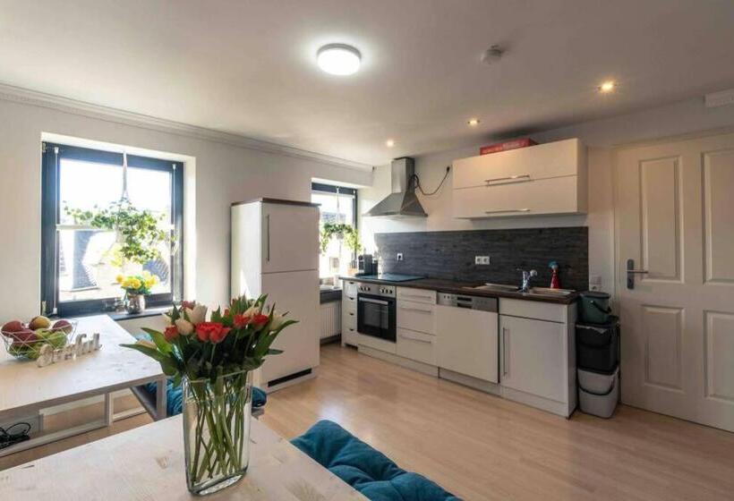 بنسيون Altes Schwesternhaus   Homesite Apartments