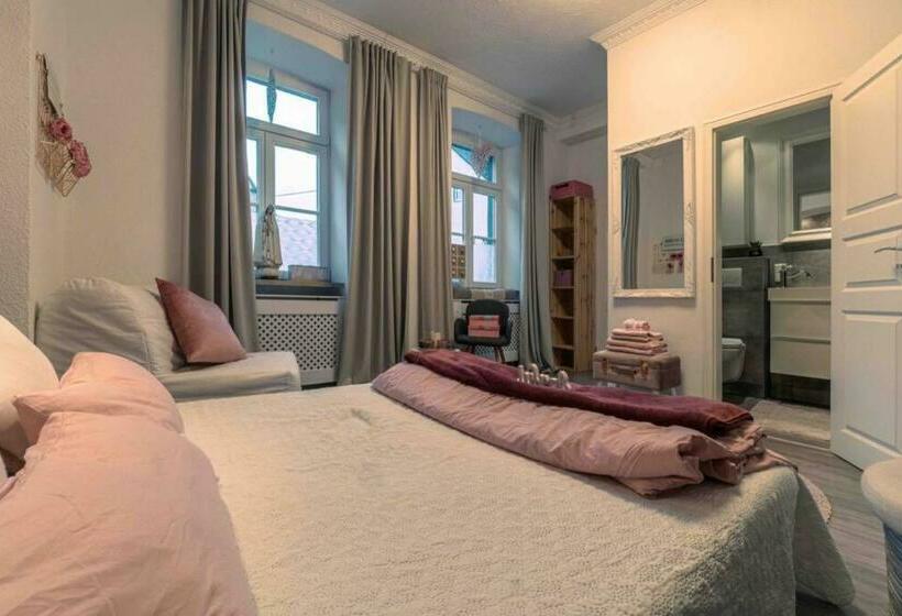 بنسيون Altes Schwesternhaus   Homesite Apartments