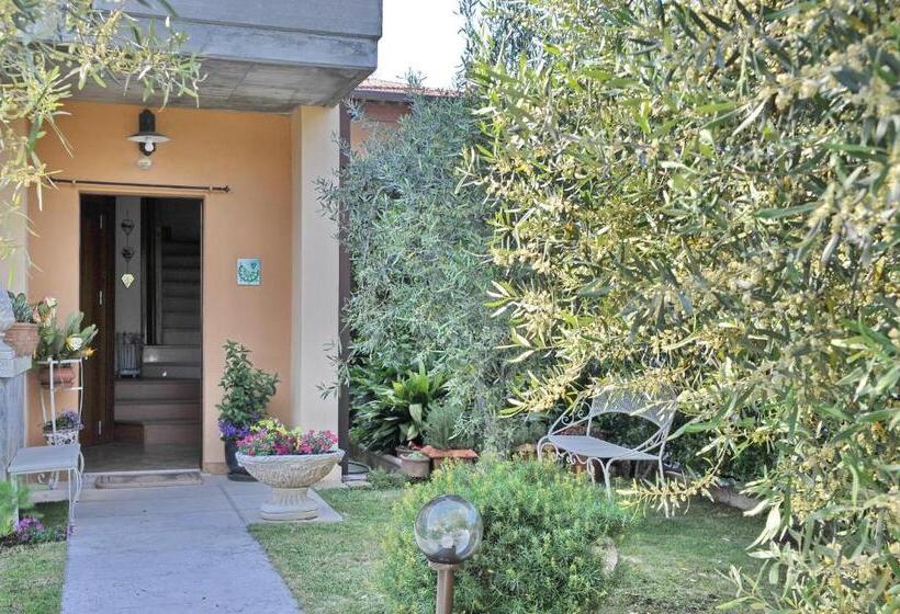 بنسيون Casa Giuli