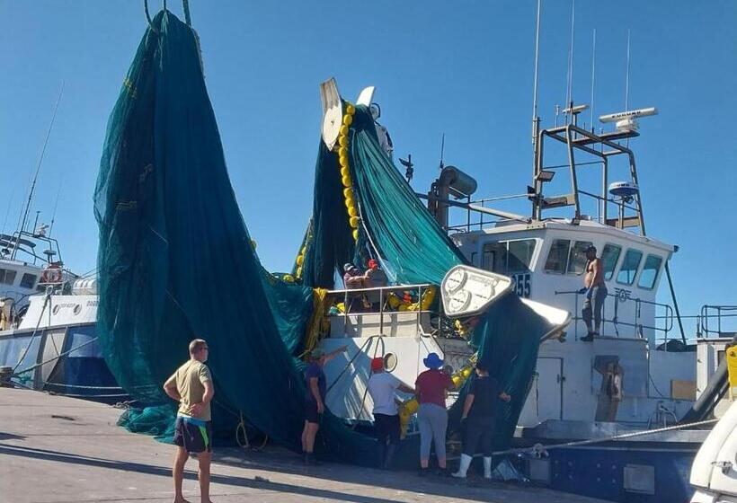 פנסיון Foot Loose & Fancy Free