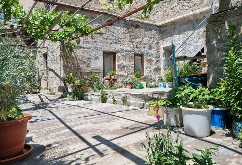 פנסיון Guest House Sunlight