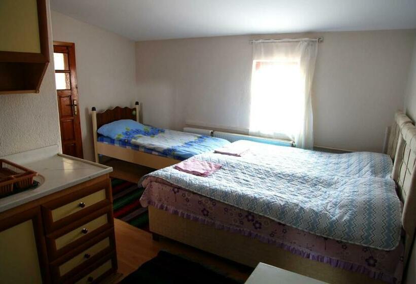 פנסיון Guest House Sunlight