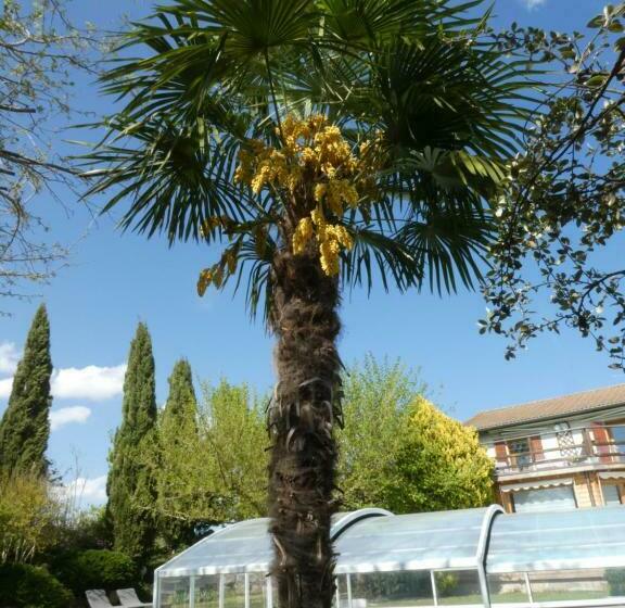 بنسيون Iaorana