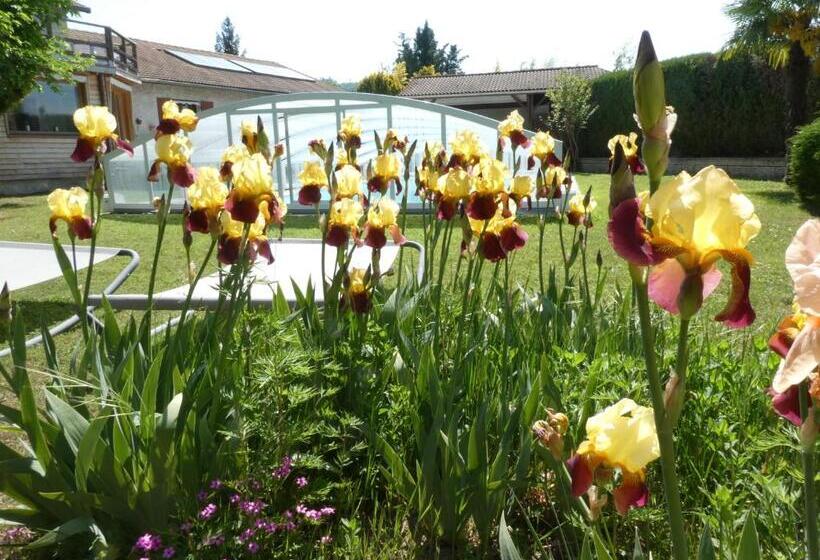 بنسيون Iaorana