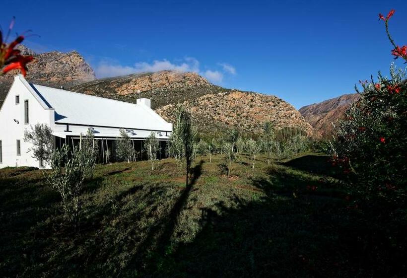 بنسيون Jus Limin