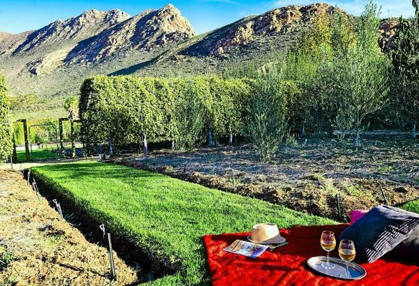 بنسيون Jus Limin