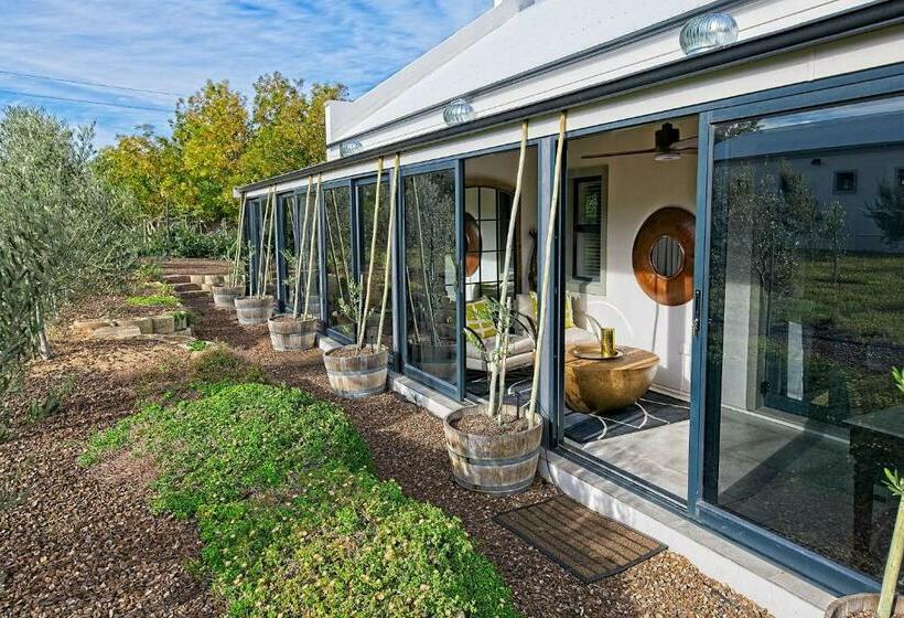 بنسيون Jus Limin