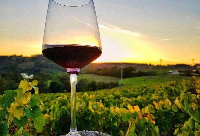 ペンション Karoo Nest Calitzdorp