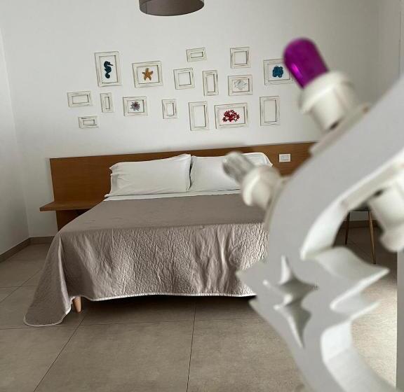 膳宿费 Le Rondini House