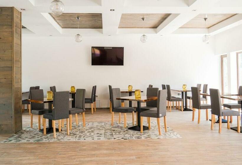 بنسيون Montana 219