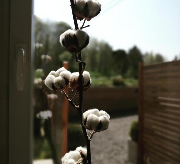 ペンション Où Gît Le Bocq Spa Privatif