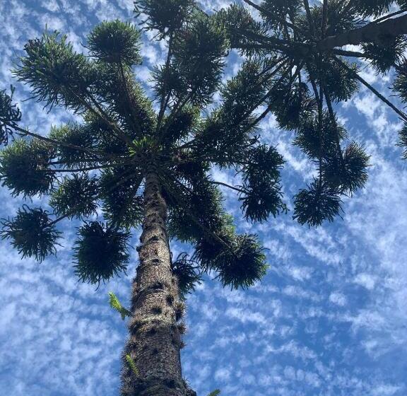 פנסיון Paz Na Montanha