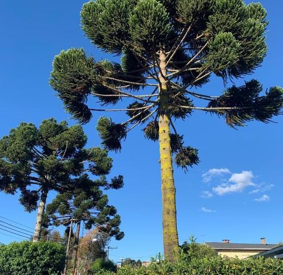 פנסיון Paz Na Montanha