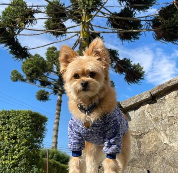 פנסיון Paz Na Montanha