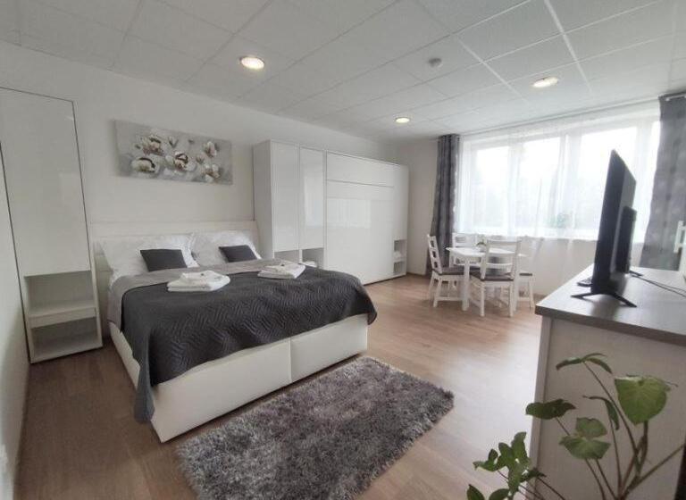 بنسيون Penzion Wellness Chechluvka