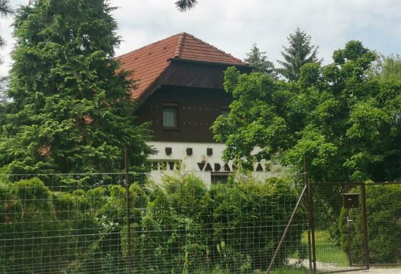 پانسیون Széchenyi Vadászház