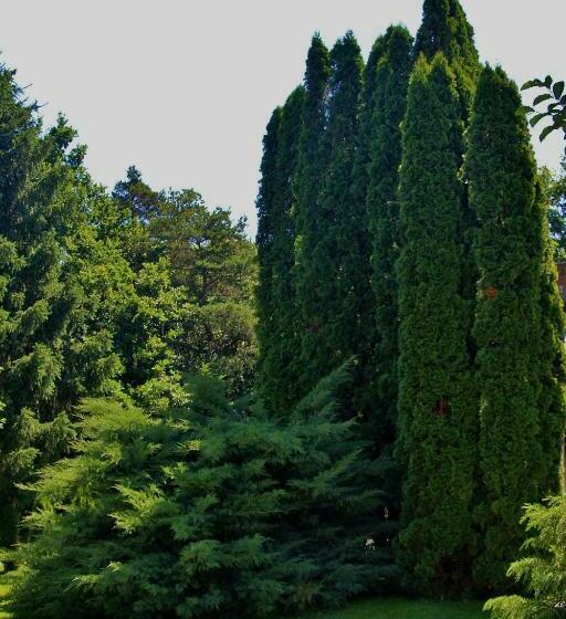 پانسیون Széchenyi Vadászház