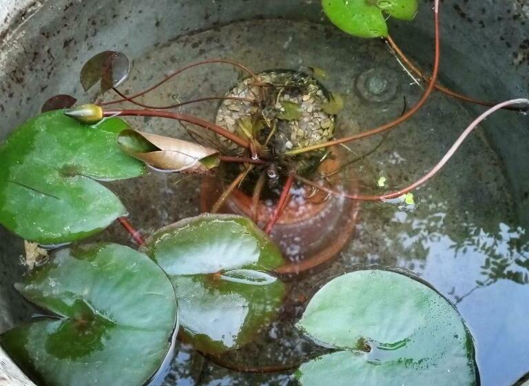 펜션 Tra Grilli E Cicale